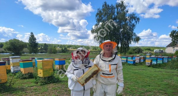 Мед натуральный деревенский