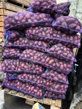 Картофель (Гала, Балтик роуз и т.д.), Нижегородская область