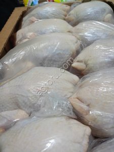 Мясо кур несушки 1 и 2 категория, субпродукты