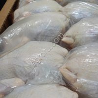 Мясо кур несушки 1 и 2 категория, субпродукты