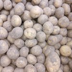 Семенной картофель Коломба