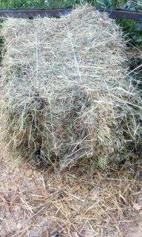 Сено,солома втюках