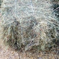 Сено, солома втюках