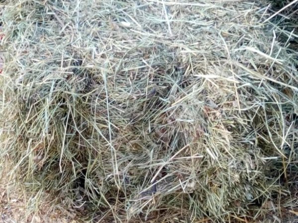 Сено,солома втюках