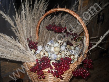 Перепелиное яйцо