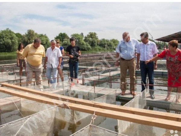 Земельный участок 30 Га