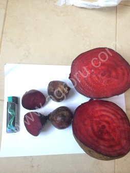 Свекла. некондиция (очень крупная)