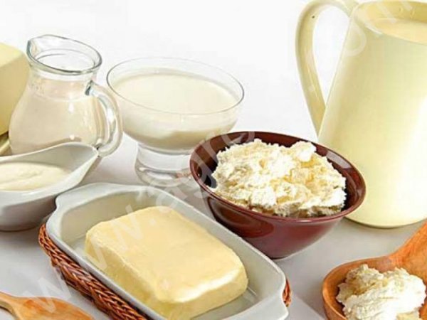 Творог, сметана, творожная масса, йогурт, масло