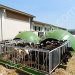 Групповые домики для телят