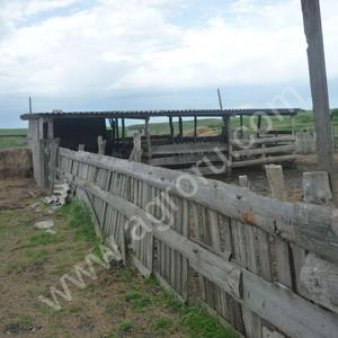 Действующее фермерское хозяйство