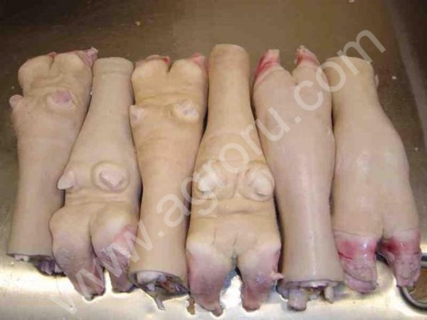 Говяжья книжка (beef Omasum), свиные ноги