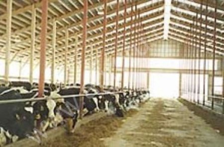 Комбикорма