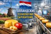 Голландские технологии сыроварения и современное производство сыра
