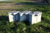 DJI Agras T