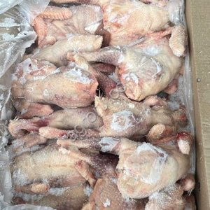 Тушка кур от 1 кг пром переработка в Воронеже