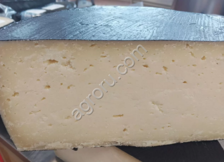 Сыр из козьего молока Гауда
