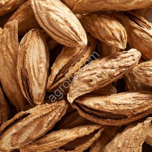 Скорлупа ореха