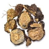 Корни Ферулы