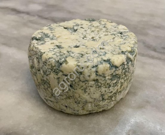 Сыр с голубой плесенью