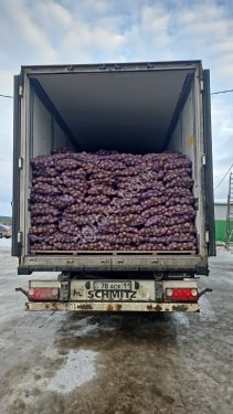 Картофель
