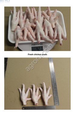 Куриные лапки