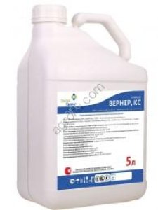 Вернер, КС (красный)