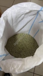 Чечевица Даная