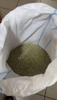 Чечевица Даная