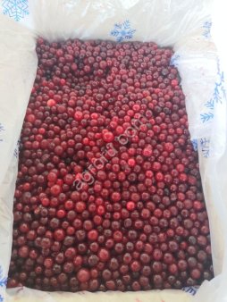 Замороженная ягода