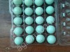 Инкубационное яйцо перепелов Селадон, Техас