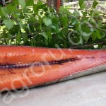 Скумбрия,Форель,Омуль,Кета,Терпуг,Корюшка,Семга хк