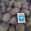 Картофель оптом от производителя