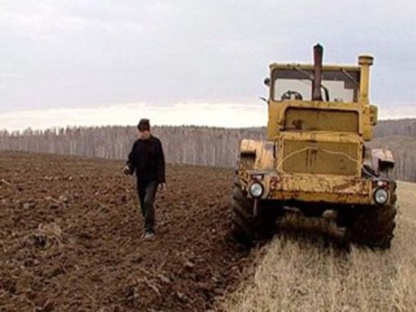 Курская область увеличивает темпы полевых работ