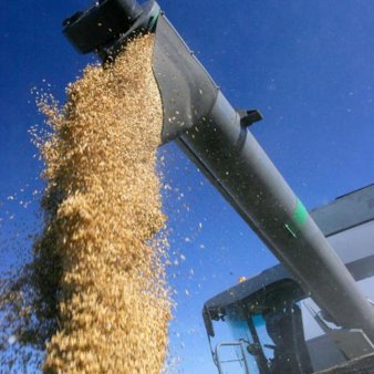 Форвардные закупки урожая 2012 начнутся 30 марта