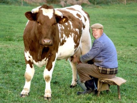 Фермеров берут в электронный оборот