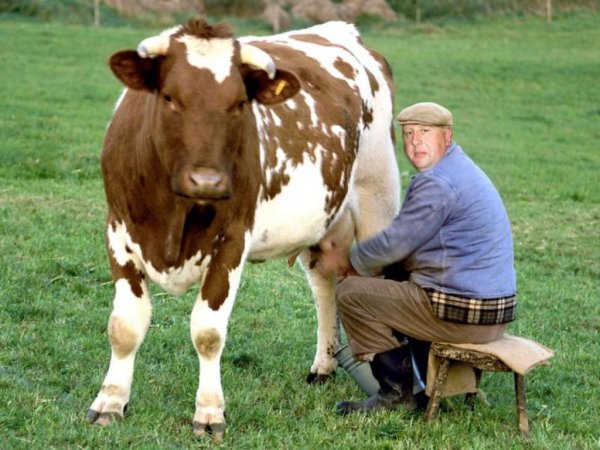 Фермеров берут в электронный оборот