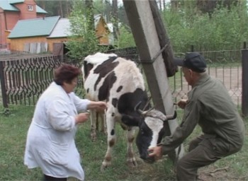 В Удмуртии - профилактика