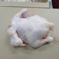 Курица оптом от производителя