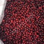 Брусника замороженная