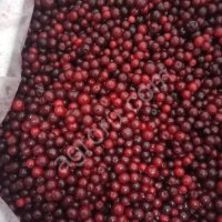 Брусника замороженная