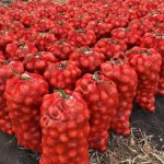 Упаковочные материалы