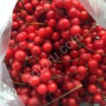 Лимонник ягода замороженные