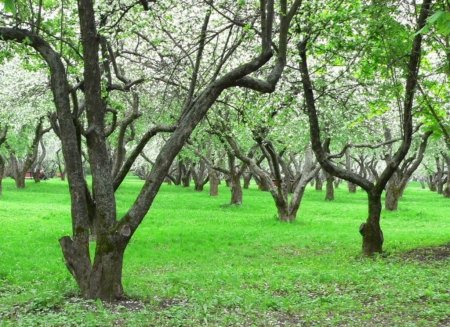 Проведены контрольные обследования
