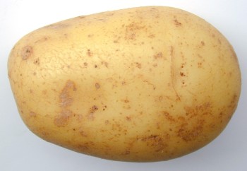 Опасная продукция границу не пересекла