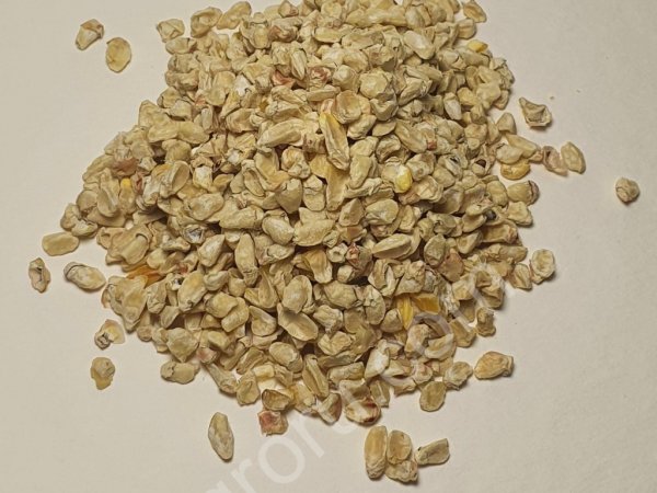 Кукурузный Зародыш