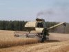 Уборка зерновых в Томской области идет к завершению