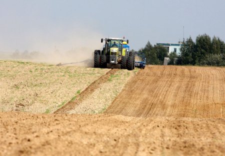 Сев зерновых