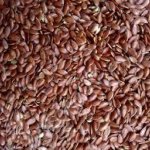 лён масличный