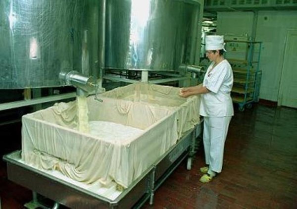 В Алтайском крае будет новый цех по производству альбуминного творога