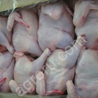 Курица тушка ЦБ 1 сорт, ГОСТ, калибровка: 1.5+